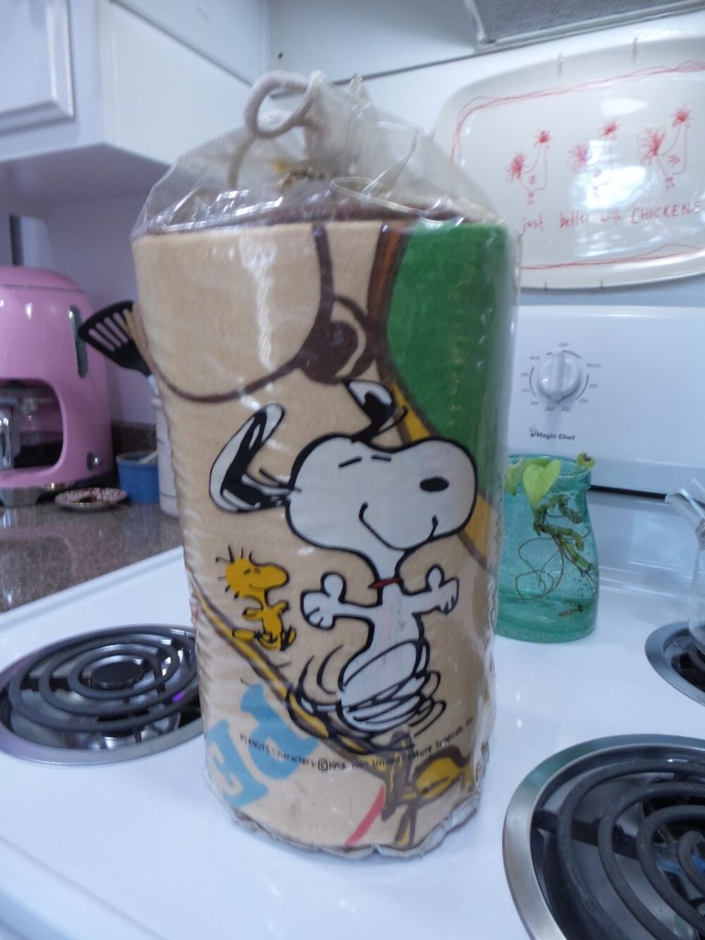 Vintage 1965 Peanuts Snoopy Chatham Keep Fit Blanket w/ Original Bag